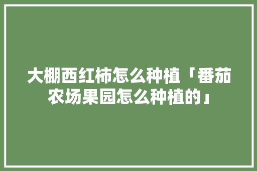 大棚西红柿怎么种植「番茄农场果园怎么种植的」