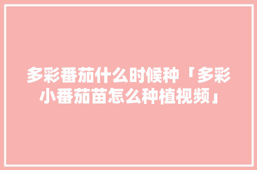 多彩番茄什么时候种「多彩小番茄苗怎么种植视频」 多彩番茄什么时候种「多彩小番茄苗怎么种植视频」 花朵知识