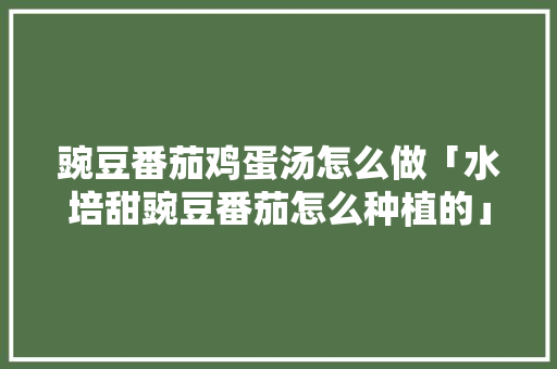 豌豆番茄鸡蛋汤怎么做「水培甜豌豆番茄怎么种植的」