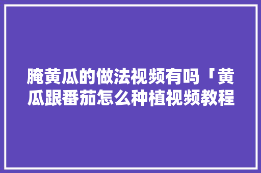 腌黄瓜的做法视频有吗「黄瓜跟番茄怎么种植视频教程」