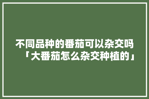 不同品种的番茄可以杂交吗「大番茄怎么杂交种植的」
