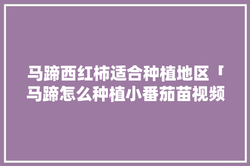 马蹄西红柿适合种植地区「马蹄怎么种植小番茄苗视频」 马蹄西红柿适合种植地区「马蹄怎么种植小番茄苗视频」 花朵知识