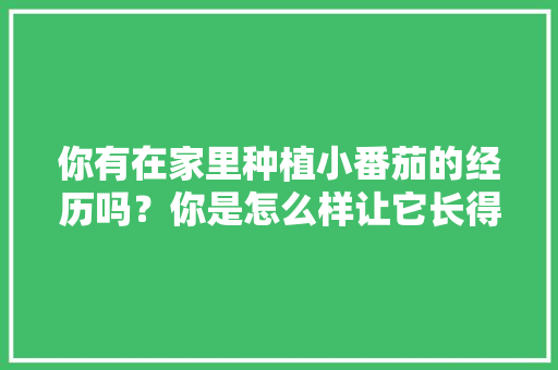 你有在家里种植小番茄的经历吗？你是怎么样让它长得更好的「家庭种植番茄怎么种好呢视频」
