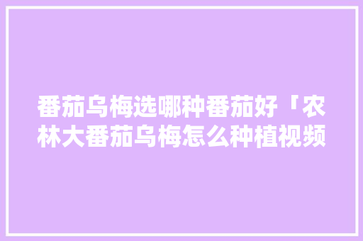 番茄乌梅选哪种番茄好「农林大番茄乌梅怎么种植视频」 植物种类 番茄乌梅选哪种番茄好「农林大番茄乌梅怎么种植视频」 番茄乌梅选哪种番茄好「农林大番茄乌梅怎么种植视频」 植物种类