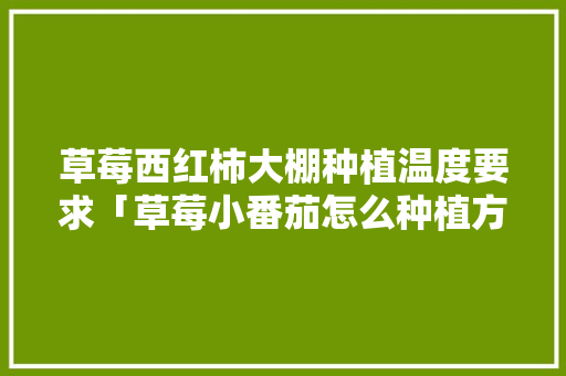 草莓西红柿大棚种植温度要求「草莓小番茄怎么种植方法」 植物种类 草莓西红柿大棚种植温度要求「草莓小番茄怎么种植方法」 草莓西红柿大棚种植温度要求「草莓小番茄怎么种植方法」 植物种类