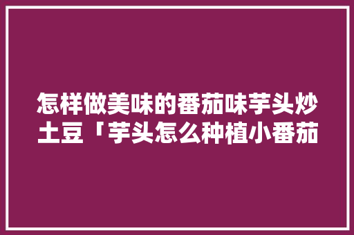 怎样做美味的番茄味芋头炒土豆「芋头怎么种植小番茄种子图片」