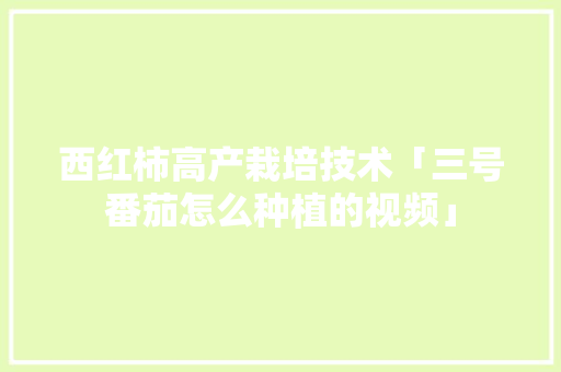 西红柿高产栽培技术「三号番茄怎么种植的视频」