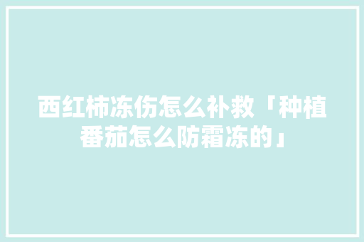 西红柿冻伤怎么补救「种植番茄怎么防霜冻的」