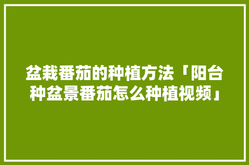 盆栽番茄的种植方法「阳台种盆景番茄怎么种植视频」 盆栽番茄的种植方法「阳台种盆景番茄怎么种植视频」 番茄病虫害防治