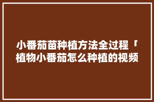 小番茄苗种植方法全过程「植物小番茄怎么种植的视频」 小番茄苗种植方法全过程「植物小番茄怎么种植的视频」 番茄病虫害防治