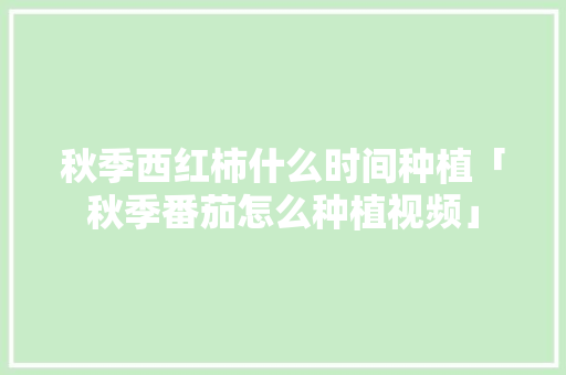 秋季西红柿什么时间种植「秋季番茄怎么种植视频」