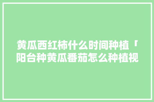 黄瓜西红柿什么时间种植「阳台种黄瓜番茄怎么种植视频」 黄瓜西红柿什么时间种植「阳台种黄瓜番茄怎么种植视频」 植物种类