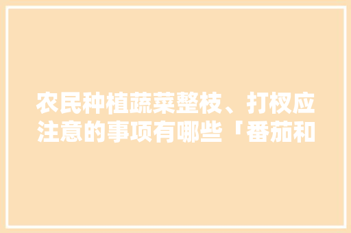 农民种植蔬菜整枝、打杈应注意的事项有哪些「番茄和茄子怎么种植视频教程」