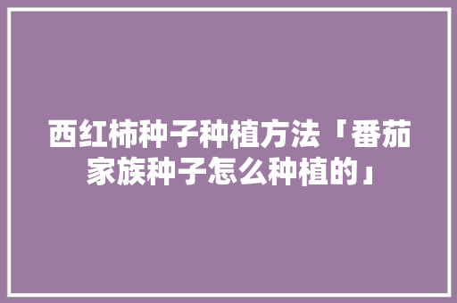 西红柿种子种植方法「番茄家族种子怎么种植的」 西红柿种子种植方法「番茄家族种子怎么种植的」 农业常识