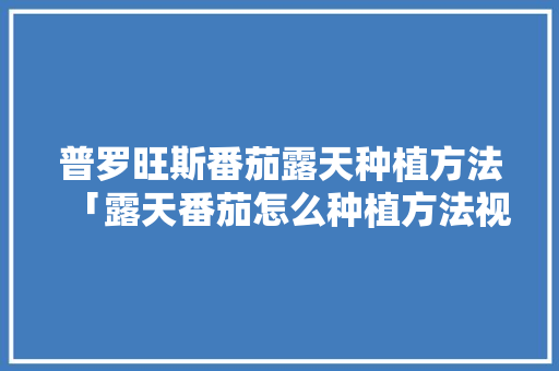 普罗旺斯番茄露天种植方法「露天番茄怎么种植方法视频」 普罗旺斯番茄露天种植方法「露天番茄怎么种植方法视频」 农业常识