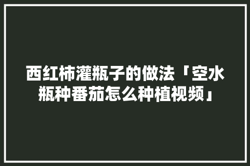 西红柿灌瓶子的做法「空水瓶种番茄怎么种植视频」