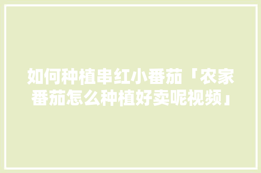 如何种植串红小番茄「农家番茄怎么种植好卖呢视频」 如何种植串红小番茄「农家番茄怎么种植好卖呢视频」 植物种类