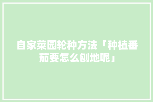 自家菜园轮种方法「种植番茄要怎么刨地呢」