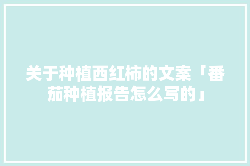 关于种植西红柿的文案「番茄种植报告怎么写的」