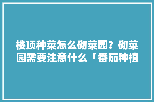 楼顶种菜怎么砌菜园？砌菜园需要注意什么「番茄种植怎么搭棚子视频」 楼顶种菜怎么砌菜园？砌菜园需要注意什么「番茄种植怎么搭棚子视频」 番茄病虫害防治