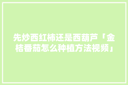 先炒西红柿还是西葫芦「金桔番茄怎么种植方法视频」