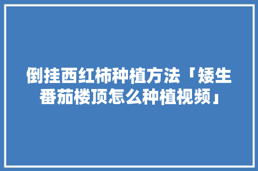 倒挂西红柿种植方法「矮生番茄楼顶怎么种植视频」 倒挂西红柿种植方法「矮生番茄楼顶怎么种植视频」 种植技巧