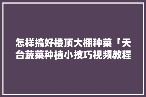 怎样搞好楼顶大棚种菜「天台蔬菜种植小技巧视频教程」 怎样搞好楼顶大棚种菜「天台蔬菜种植小技巧视频教程」 番茄病虫害防治