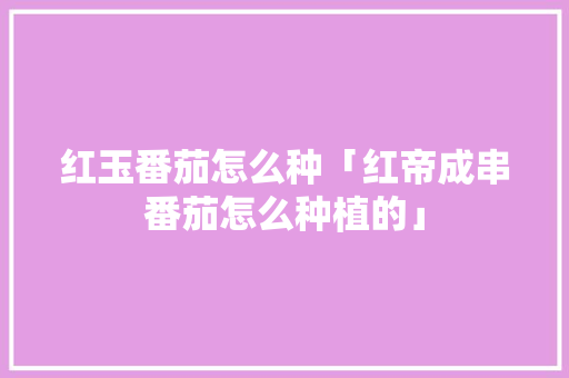 红玉番茄怎么种「红帝成串番茄怎么种植的」 农业常识 红玉番茄怎么种「红帝成串番茄怎么种植的」 红玉番茄怎么种「红帝成串番茄怎么种植的」 农业常识