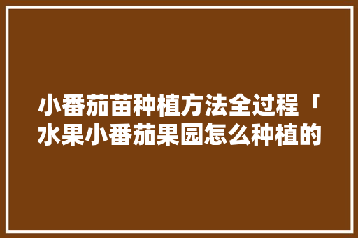 小番茄苗种植方法全过程「水果小番茄果园怎么种植的」 小番茄苗种植方法全过程「水果小番茄果园怎么种植的」 土壤施肥