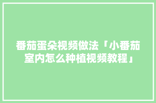 番茄蛋朵视频做法「小番茄室内怎么种植视频教程」 番茄蛋朵视频做法「小番茄室内怎么种植视频教程」 农业常识