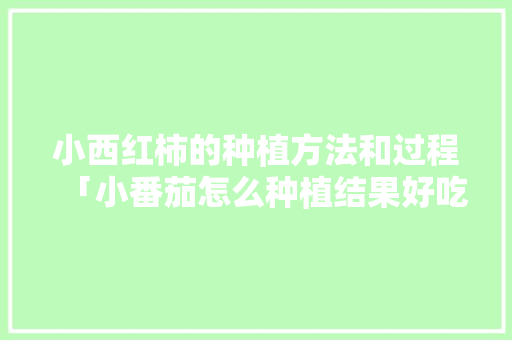 小西红柿的种植方法和过程「小番茄怎么种植结果好吃呢」 小西红柿的种植方法和过程「小番茄怎么种植结果好吃呢」 番茄病虫害防治