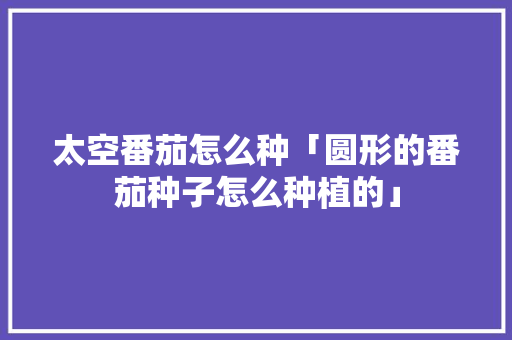 太空番茄怎么种「圆形的番茄种子怎么种植的」