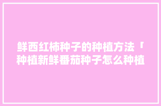 鲜西红柿种子的种植方法「种植新鲜番茄种子怎么种植」 鲜西红柿种子的种植方法「种植新鲜番茄种子怎么种植」 土壤施肥