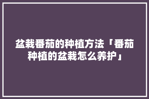 盆栽番茄的种植方法「番茄种植的盆栽怎么养护」 盆栽番茄的种植方法「番茄种植的盆栽怎么养护」 番茄种植技巧