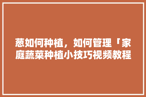 葱如何种植，如何管理「家庭蔬菜种植小技巧视频教程」