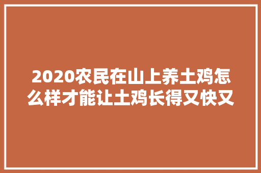 2020农民在山上养土鸡怎么样才能让土鸡长得又快又肥美「广西蔬菜种植技巧视频教程」