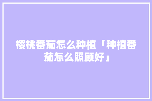 樱桃番茄怎么种植「种植番茄怎么照顾好」 番茄种植技巧 樱桃番茄怎么种植「种植番茄怎么照顾好」 樱桃番茄怎么种植「种植番茄怎么照顾好」 番茄种植技巧