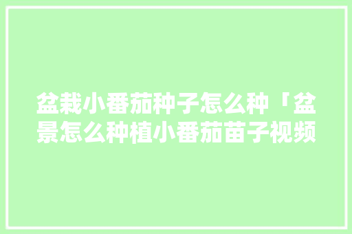 盆栽小番茄种子怎么种「盆景怎么种植小番茄苗子视频」 盆栽小番茄种子怎么种「盆景怎么种植小番茄苗子视频」 番茄种植技巧