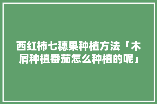 西红柿七穗果种植方法「木屑种植番茄怎么种植的呢」 西红柿七穗果种植方法「木屑种植番茄怎么种植的呢」 种植技巧