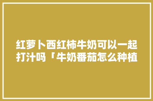 红萝卜西红柿牛奶可以一起打汁吗「牛奶番茄怎么种植视频」