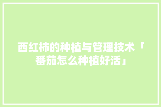 西红柿的种植与管理技术「番茄怎么种植好活」 西红柿的种植与管理技术「番茄怎么种植好活」 种植技巧