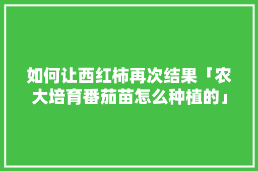 如何让西红柿再次结果「农大培育番茄苗怎么种植的」 如何让西红柿再次结果「农大培育番茄苗怎么种植的」 种植技巧