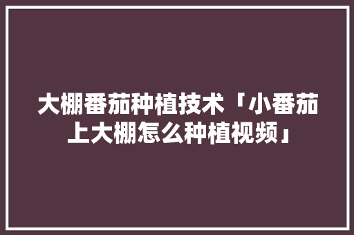 大棚番茄种植技术「小番茄上大棚怎么种植视频」