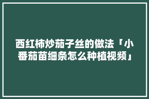 西红柿炒茄子丝的做法「小番茄苗细条怎么种植视频」