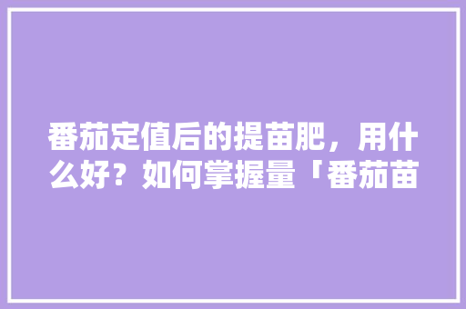 番茄定值后的提苗肥，用什么好？如何掌握量「番茄苗种植怎么施肥视频教程」