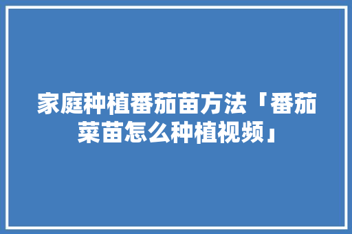 家庭种植番茄苗方法「番茄菜苗怎么种植视频」 家庭种植番茄苗方法「番茄菜苗怎么种植视频」 植物种类