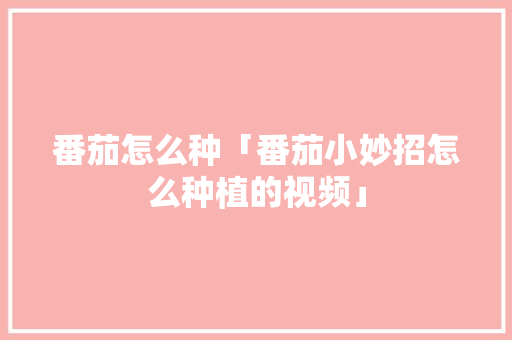 番茄怎么种「番茄小妙招怎么种植的视频」 番茄怎么种「番茄小妙招怎么种植的视频」 花朵知识