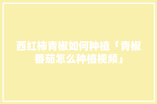 西红柿青椒如何种植「青椒番茄怎么种植视频」 西红柿青椒如何种植「青椒番茄怎么种植视频」 植物种类