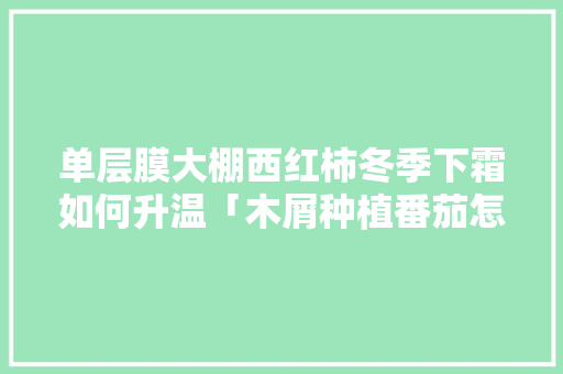 单层膜大棚西红柿冬季下霜如何升温「木屑种植番茄怎么种植好呢」 单层膜大棚西红柿冬季下霜如何升温「木屑种植番茄怎么种植好呢」 番茄病虫害防治