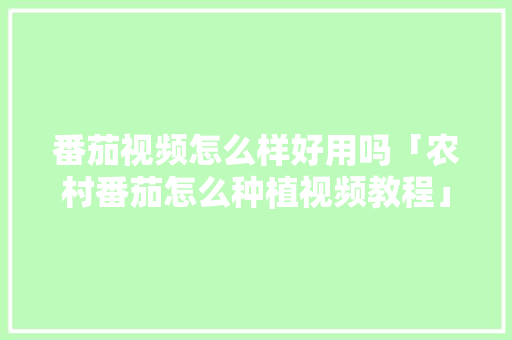 番茄视频怎么样好用吗「农村番茄怎么种植视频教程」